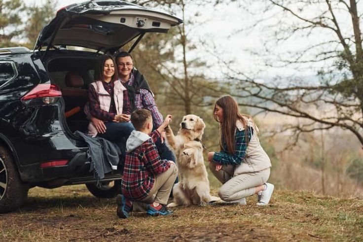 20 Things to Do on a Car Trip With a Teenager